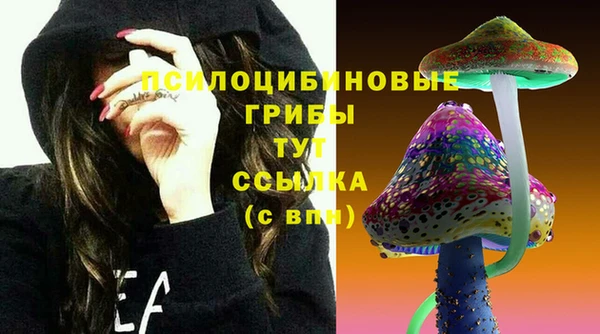 марки lsd Алексеевка