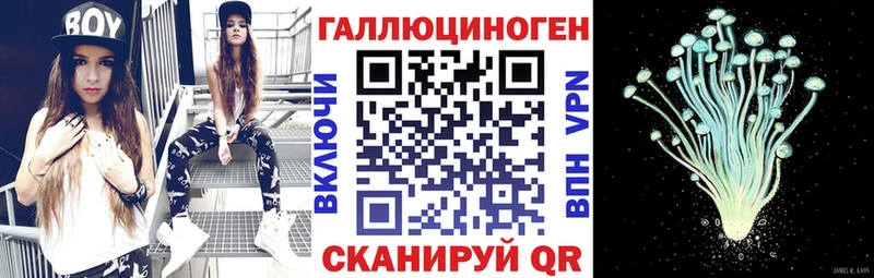 Псилоцибиновые грибы MAGIC MUSHROOMS  Петропавловск-Камчатский 